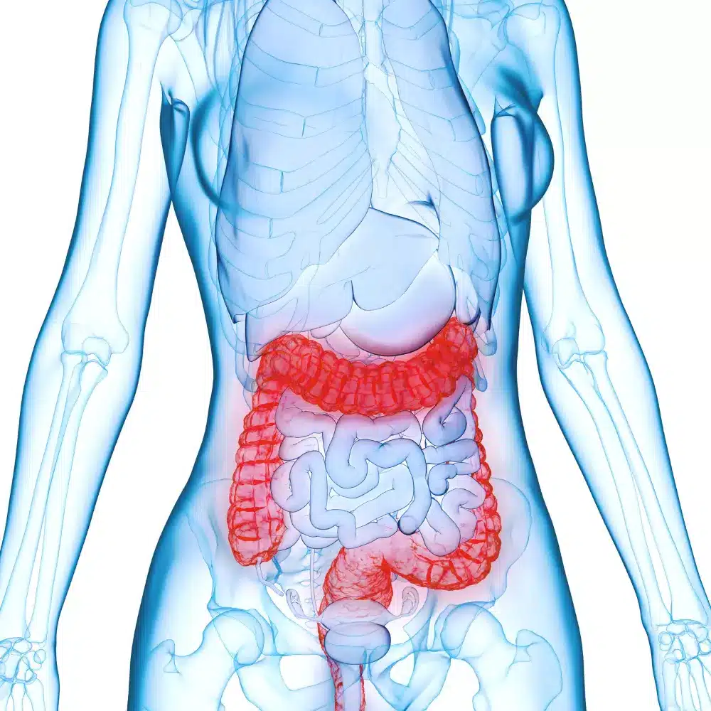 gerd doctor specialist suwanee ga