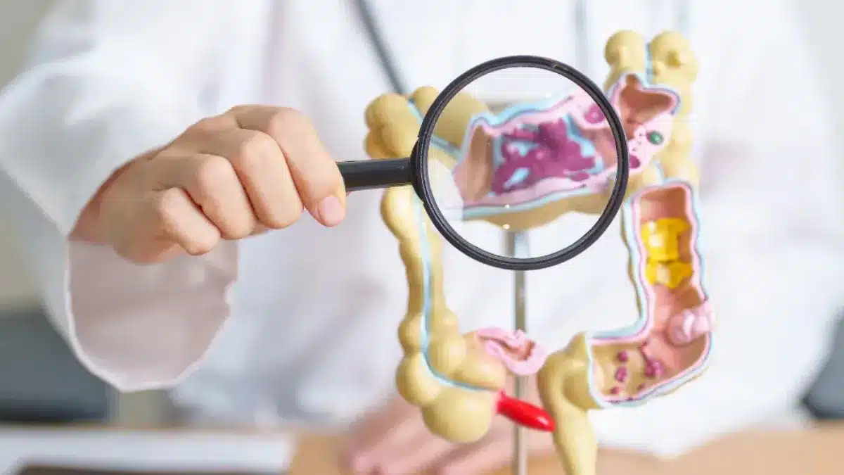 Top 7 Signs You Should See a Gastroenterologist Near Me Today_