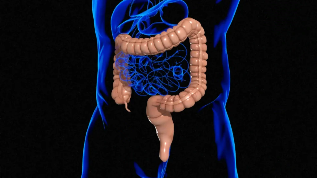 When to Upgrade to Maintenance Colonoscopy_ Personalized Scheduling for GI Wellness